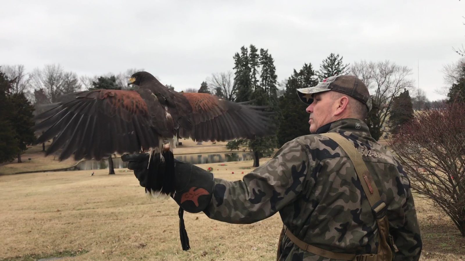 Commercial Bird Removal Dallas, Bird Deterrents, Damage Control